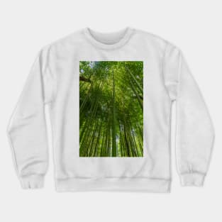 In Awe of the Bamboo Crewneck Sweatshirt